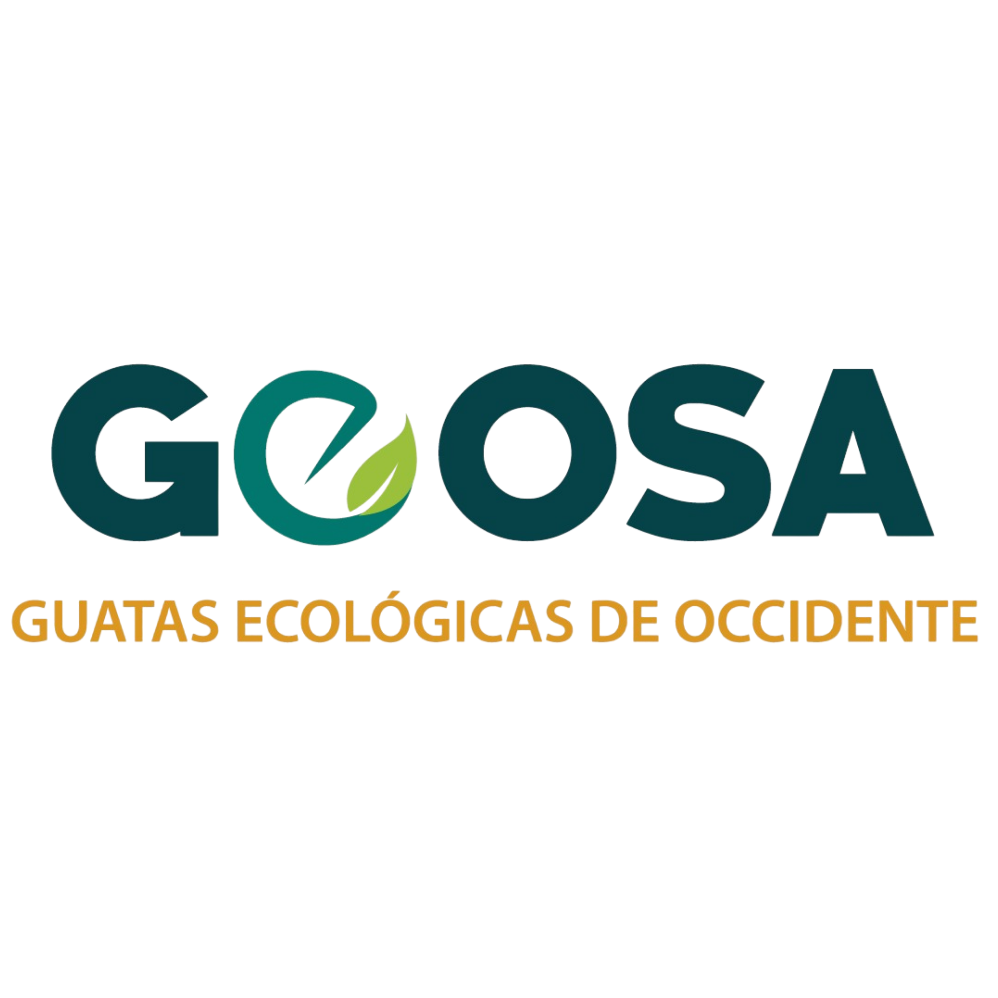 geosamx.com